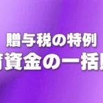 贈与税の特例 - 教育資金の一括贈与