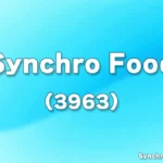 Synchro Food Co., Ltd. (3963)